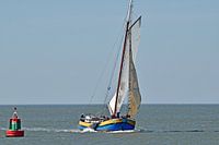 Het bruine vloot schip Maxima