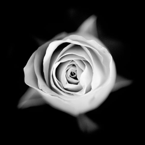 Im Visier der Bullen von Fotografie Jeronimo