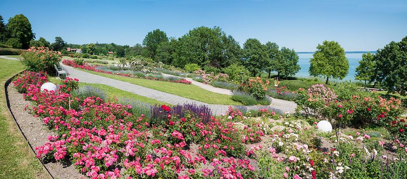 beau parc paysager avec roses naissantes, station touristique Gst par SusaZoom