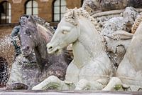 Chevaux en marbre dans la fontaine de Neptune, Florence, Italie