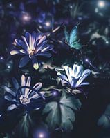 fleurs bleues violettes fantaisie