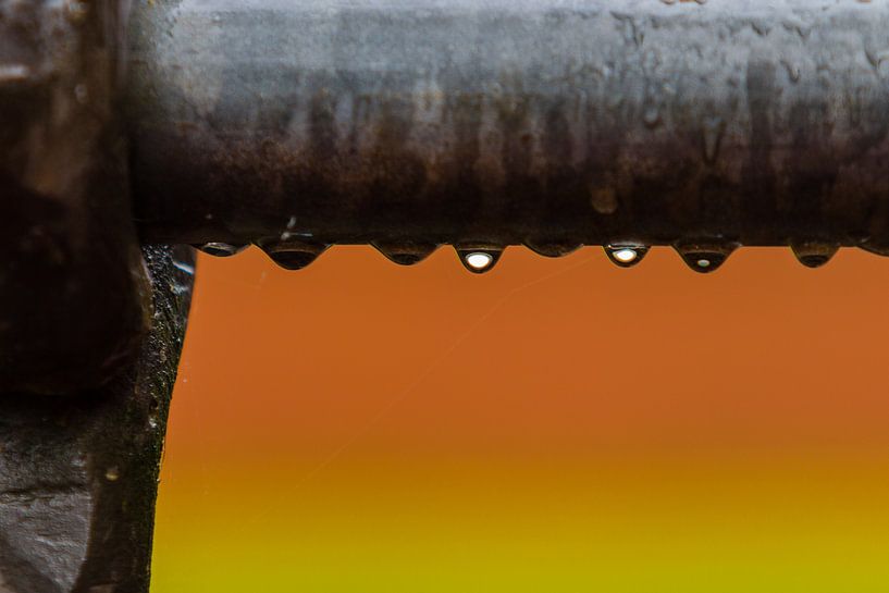 Ohne Titel von René Roos