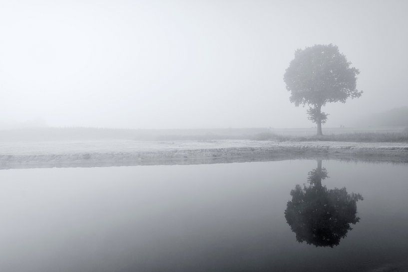 Reflection by Ruud van Ravenswaaij