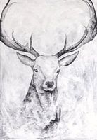 Stag watercolour