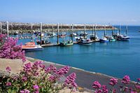 Bateaux dans l’attrayant port de Saint Quay Portrieux Bretagne