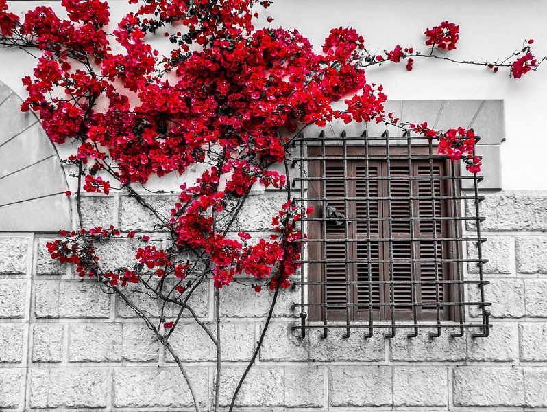 Spaans venster van Eric Nagel