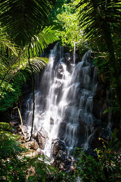 Kanto Lampo Waterfall - Bali by Ellis Peeters
