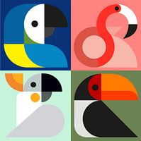 Graphic birds - 4 tropical birds
