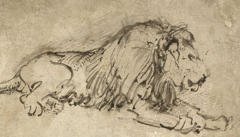Liegender Löwe, rechts, Rembrandt van Rijn von Ed z'n Schets