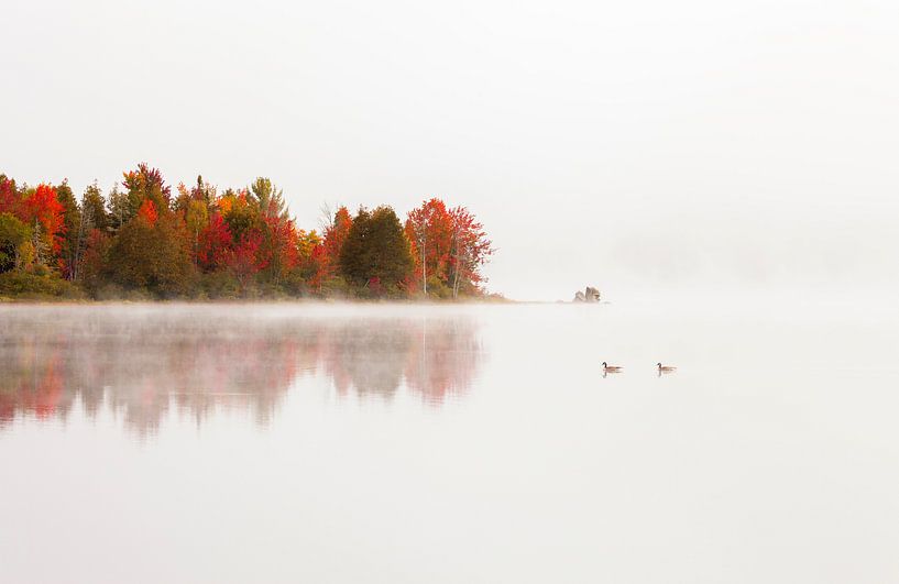 Été indien par Frank Peters