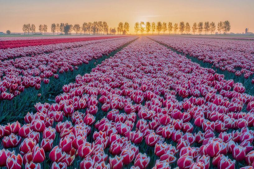 On my way by Jan Koppelaar Fotografie