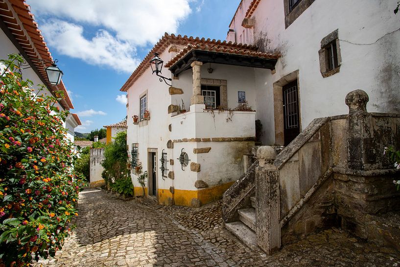 Obidos streetscape by Antwan Janssen