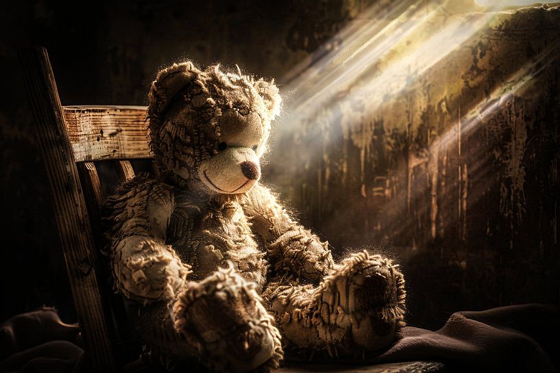 Worn teddy bear with sunbeams by Imperial Art House