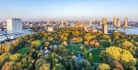 Blick vom Euromast über Rotterdam und den Park im Herbst