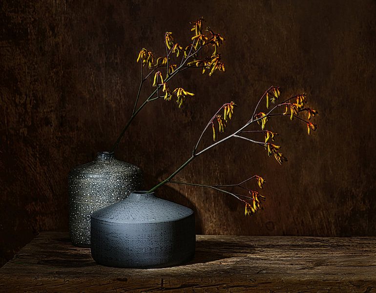 Still life with yellow flowers, Still life with yellow flowers. by Saskia Dingemans Awarded Photographer