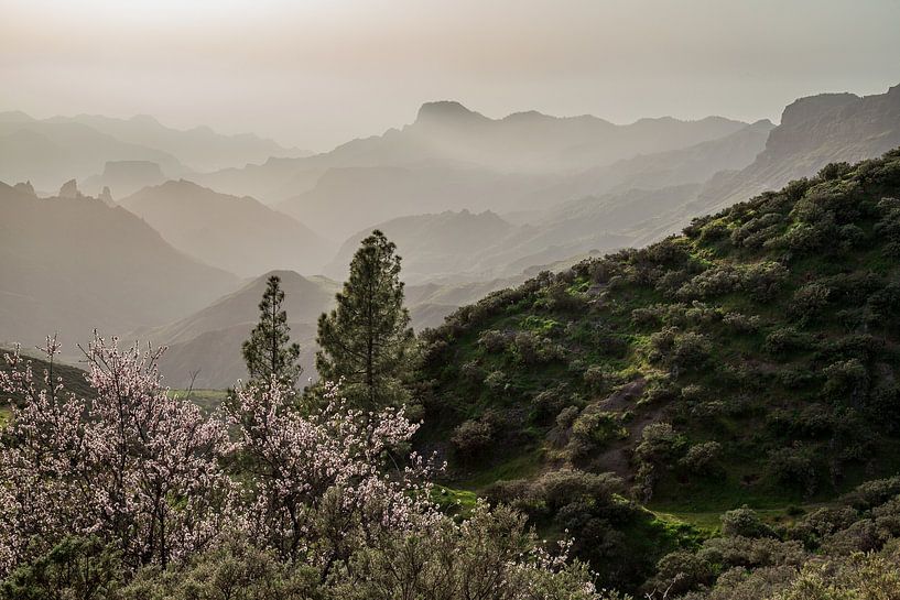 Sunset in Gran Canaria, Cruz de Tejeda. by Marjolein Zijlstra
