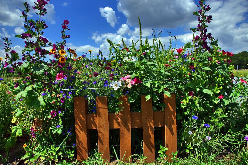 Fleurs de jardin sur la porte du jardin par Edgar Schermaul