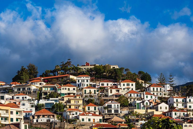 Blick auf Funchal auf der Insel Madeira, Portugal par Rico Ködder
