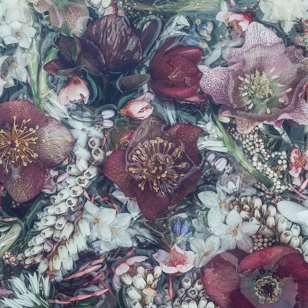 Glockenblumen &amp; Tempelglocken von Marina de Wit