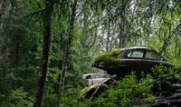 La rouille intemporelle : des voitures dans la forêt suédoise