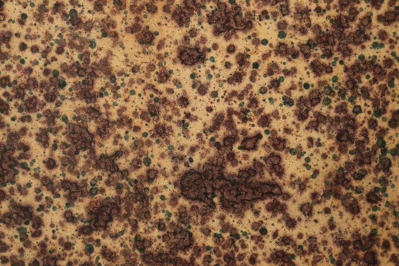 Digital art pattern colored marbled cells by Michael Godlewski