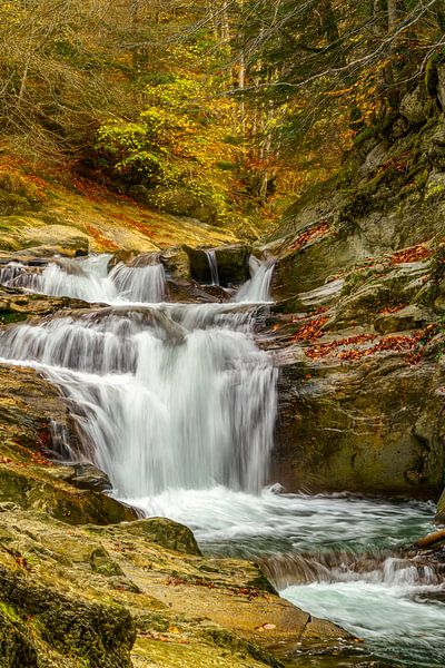 Sanft fallend von Lars van de Goor