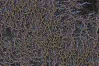 Frozen Flashes At Night Abstract