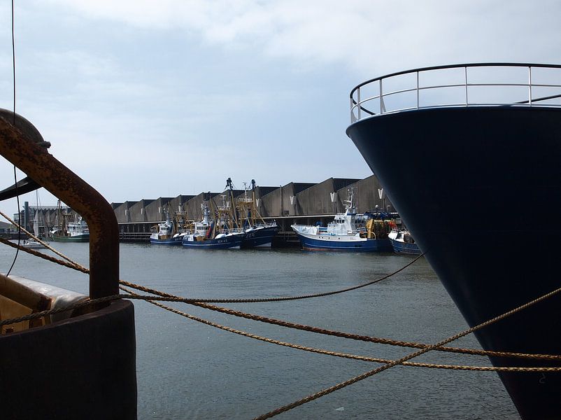 Visafslag  par Jon Houkes