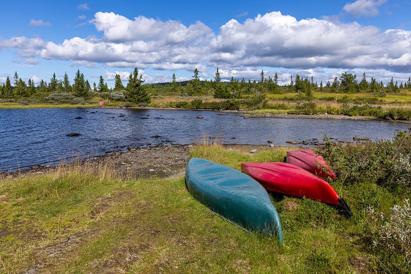 Lake on the Norwegian plateau, Norway by Adelheid Smitt