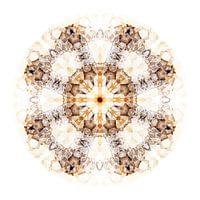 Compositie Wildebeest 1