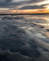 Des structures délicieuses sur les vasières