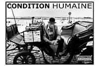 Menschlicher Zustand