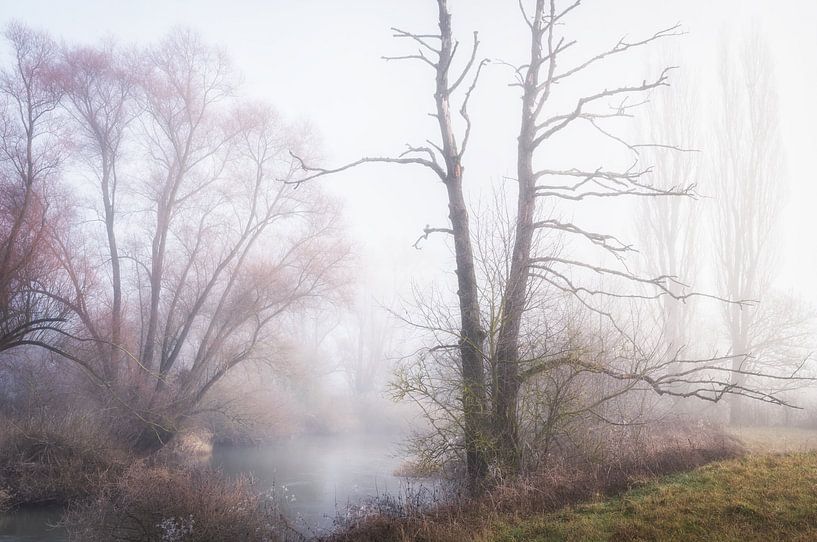 Rust in de ochtend van Tobias Luxberg