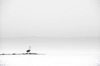 Lighthouse 'The horse of Marken' (2)