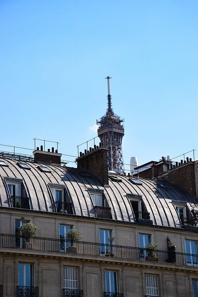 Oui Paris von Ingrid de Vos - Boom