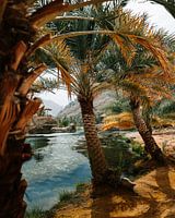 Wadi Bani Khalid