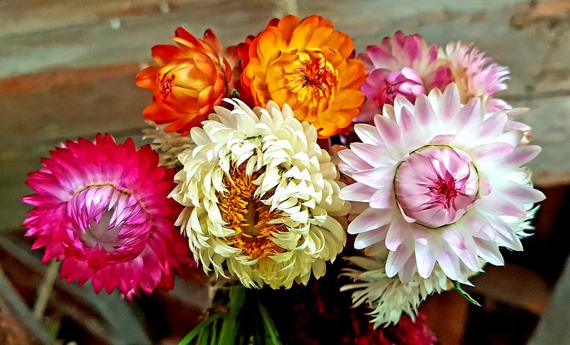 Fleurs sèches par Dave Muntinga