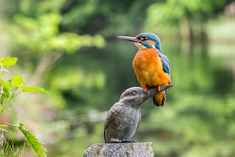 Kingfisher on kingfisher statue by Frans Lemmens