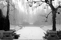 Noorderplantsoen in Winter 6