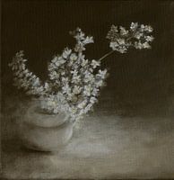 Nature morte avec Reine des prés, Filipendula ulmaria