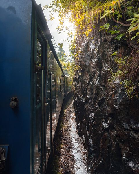 Sri Lankan Train through paradise by Ian Schepers