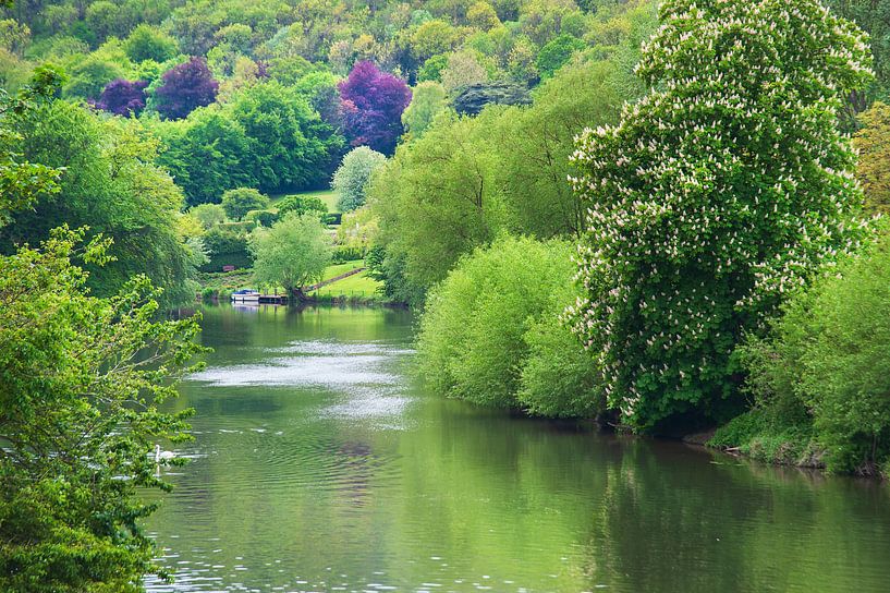 50 shades of green by Anouschka Hendriks