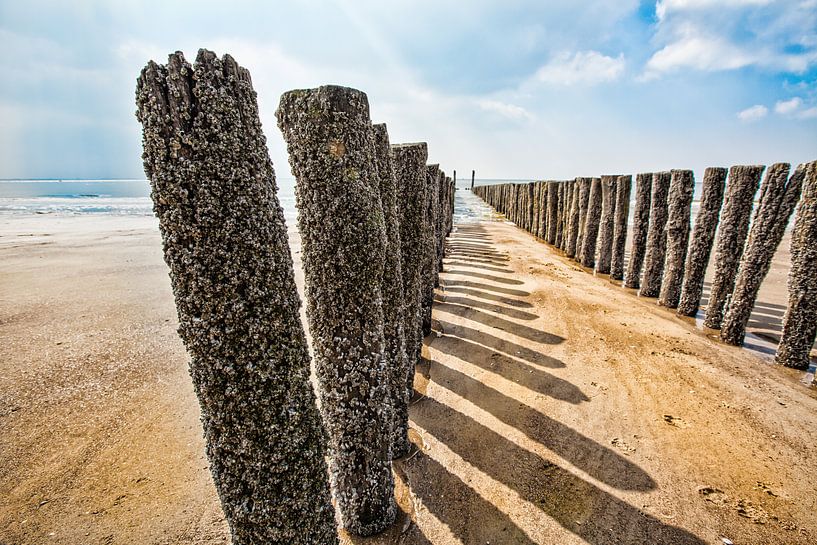 Summer in Zeeland.Breakwater on beach in Zeeland near Dishoek. by Wout Kok