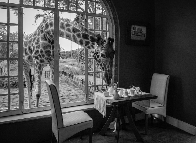 Frühstückszeit von Jie Fischer