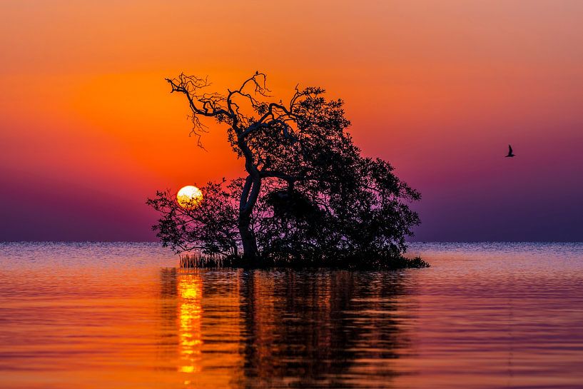 Lever de soleil sur la mer Rouge, lever de soleil sur la mer Rouge par Corrine Ponsen