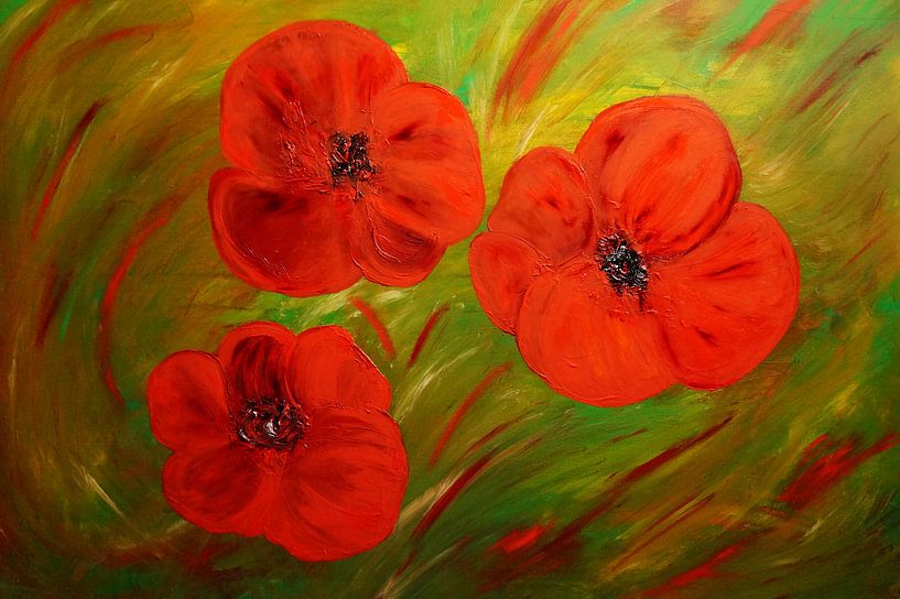 Mohnblüten par Babetts Bildergalerie