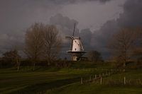 Molen de Koe in Veere