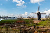 Windmühle an der Bersche Maas in Heusden, Nordbrabant, Niederlande