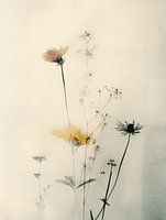 Botanisch vervaagd, Japandi stijl