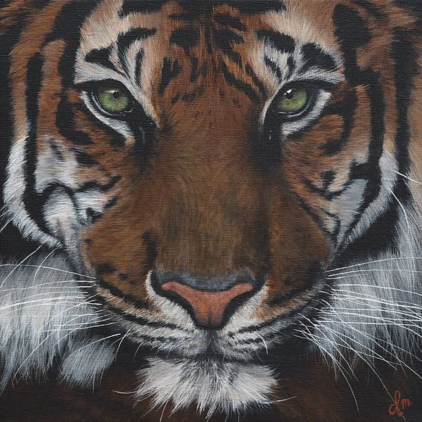 Realistic Tiger Portrait - handmade acrylic painting by Denise Martens